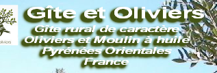    Gîte et Oliviers
Gîte rural de caractère
Oliviers et Moulin à huile
Pyrénées Orientales 
France